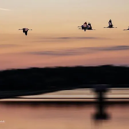 Du Der Giffaumont-Champaubert