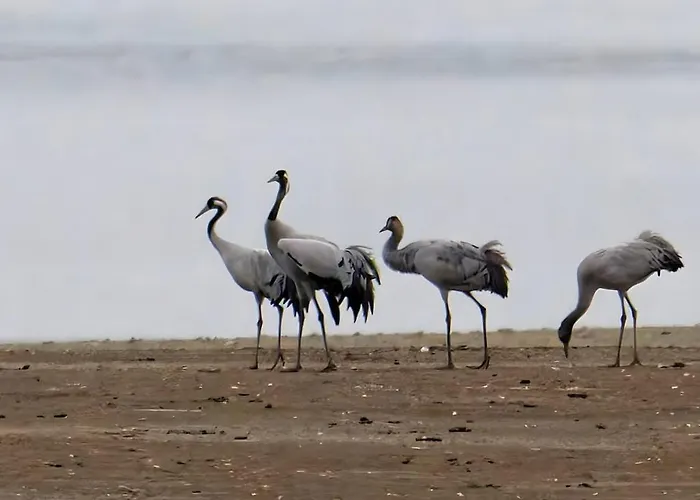 Horská chata Du Der *