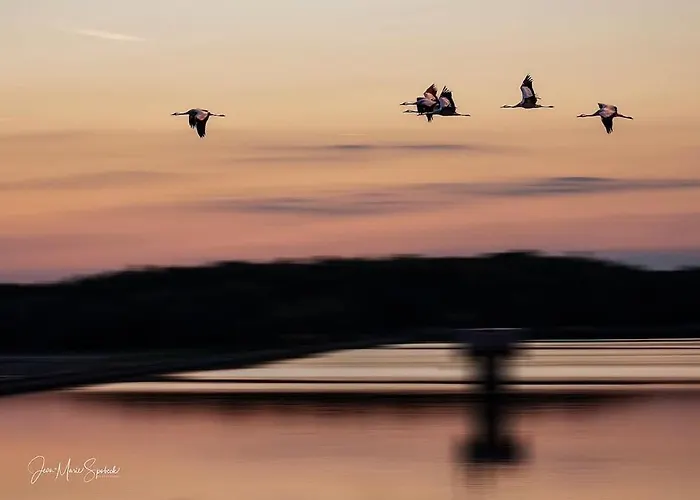 Du Der Giffaumont-Champaubert